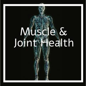 MUSCLE & JOINT HEALTH